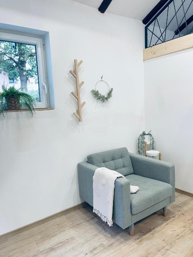 Apartma Tany リュブリャナ エクステリア 写真